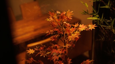 炉端居酒屋 獅軍鶏